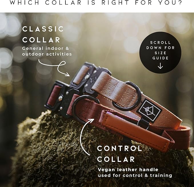 Made to ROAM Premium Dog Collar - Adjustable Heavy Duty Nylon Collar with Quick-Release Metal Buckle (Washington Rain, Classic Size 1)