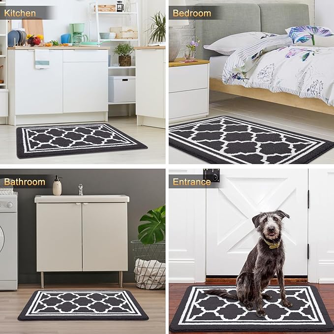 Buganda Indoor Door Mat, Dirt-Resistant and Absorbent Doormat, Anti-Slip, Low Profile Floor Mats for Inside Entryway, Front, and Back Door Entrance (30x17 Inches, Dark Grey)