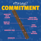 etta says! Flavor Fusion - Natural Dog Chews, Variety Pack - Made in The USA - Delicious, Rawhide-Free Treats for Dogs - Supports Dental Hygiene - Contains 6 Flavors - 12 Pack (Pack of 6)