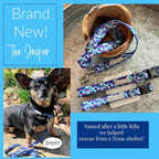 Lucky Love Dog - Adjustable Dog Collar and Leash Set with Easy Click Buckle for Small Dogs, Durable, & Comfortable Collar for Male & Female Dogs, Puppies & Adult Ones - Jasper Combo, XS