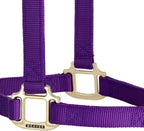 Weaver Equine Nylon Horse Halter, Triple-Ply Cheek Design, Original Non Adjustable Halters for Horses, Equine Tack,Average Size, Black