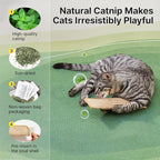 Potaroma Cat Toys Pack of 2 with 6000mg A+ Organic Catnip, Soft Sisal Material Indoor Kitten Scratching and Kicker Toys, Drives Bored Cats Crazy with Fun Interactive Chew