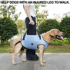 Coodeo Dog Lift Harness, Pet Support & Rehabilitation Sling Lift Adjustable Padded Breathable Straps for Old, Disabled, Joint Injuries, Arthritis, Loss of Stability Dogs Walk (Blue, L)