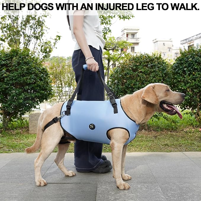 Coodeo Dog Lift Harness, Pet Support & Rehabilitation Sling Lift Adjustable Padded Breathable Straps for Old, Disabled, Joint Injuries, Arthritis, Loss of Stability Dogs Walk (Blue, L)