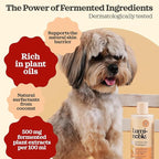 Prebiotic Hypoallergenic Sensitive Dog Shampoo – Oatmeal & Vanilla Scent Formula, Sensitive Skin | Vegan, Paraben-Free, Moisturizing & Deodorizing, Pet Shampoo | Safe for Dogs & Cats – 16 fl oz