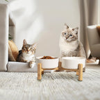 Elevated Ceramic Dog Bowl Set - Raised Feeding Bowls with Non-Slip Bamboo Stand - Small Pet Dishes for Food and Water - Ideal for Cats and Puppies - 16.23 OZ - 2 Cups - 480 ML