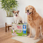 Four Paws Wee-Wee Superior Performance Eco Bamboo Dog Pee Pads, 100 Count | Earth friendly, bleach-free, dye-free, dog & puppy potty training pads, leak-proof, 24-hour protection pee pads, 22" x 23"