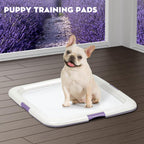 CROCI Puppy Pads 22x22in Small with Adhesive Tabs, Dog Pee Pads Absorbs Up to 3 Cups Potty Training, Disposable (50 Counts)