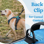rabbitgoo Dog Harness for Large, No Pull Pet Harness with 3 Buckles, Adjustable Soft Padded Vest with Control Handle, Walking Reflective Pet Vest for Large Dogs, Sky Blue, L