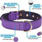 Didog Soft Padded Dog Collars for Small Dogs, Lightweight and Breathable Purple Dog Collar with Metal Buckle, Purple, M