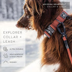 Made to ROAM Premium Dog Collar - Adjustable Heavy Duty Nylon Collar with Quick-Release Metal Buckle (Washington Rain, Classic Size 1)