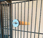 Polly's Pastels Nail Trimming & Beak Conditioning Safety Perch for Cockatiels, Cockatoos, Macaws, Parakeets, Budgies, Parrots and All Other Birds (Coral, Baby Medium-3/4 Dia. x 5" Long)