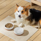 MALACASA Dog Bowls, Ceramic Dog Food and Water Bowls for Small Size Dogs, 1.5 Cups Capacity Pet Bowl for Puppy & Cats (S-1.5 Cups)