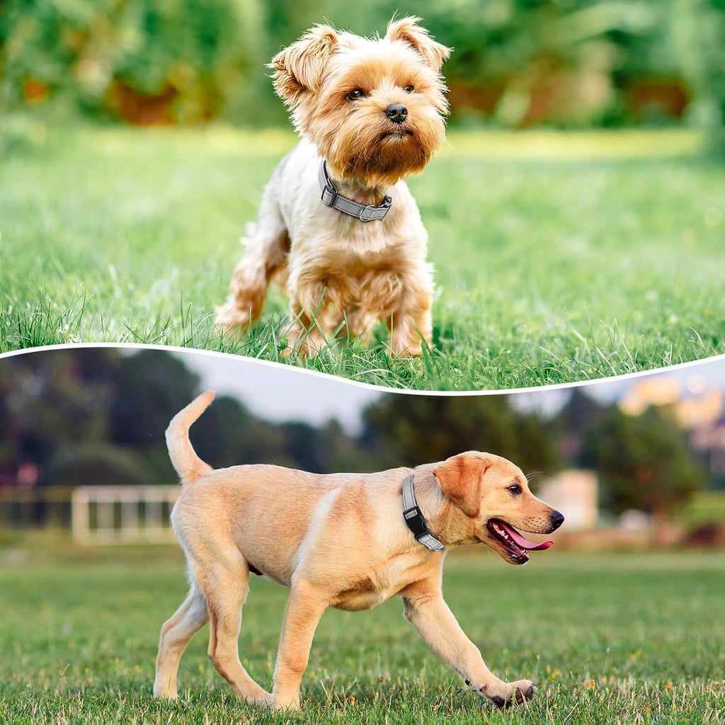 Reflective Dog Collar Padded with Soft Neoprene Breathable Quick Release Basic Dog Collars for Puppy Small Dogs Girl Boy Xs Silver