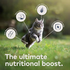 ZIWI Peak Wet Cat Food – All Natural, High Protein, Grain Free, Limited Ingredient, with Superfoods (Mackerel, Case of 12, 6.5oz Cans)