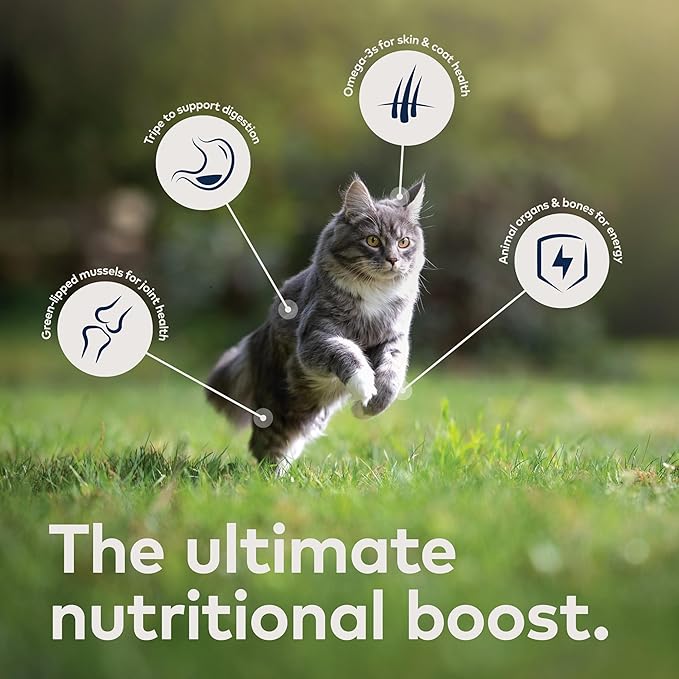 ZIWI Peak Wet Cat Food Variety Pack - Chicken, Mackerel & Lamb, and Lamb, 6 Pack (3oz Each)