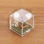 crapelles Jumping Spider Micro Middle Habitat, Small Pet Insect Breeding Box, 360 Degree Transparent Reptile Cage, Acrylic Case Mini Carrier for Amphibians, Feeding Container Enclosure Accessories