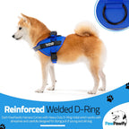 PawPawify Custom No Pull Dog Harness with Name and Phone Number, Heavy Duty Personalized Pet Vest to Prevent Tugging, Pulling, or Choking, Training and Walking (New Blue, M (20-40 LBS))