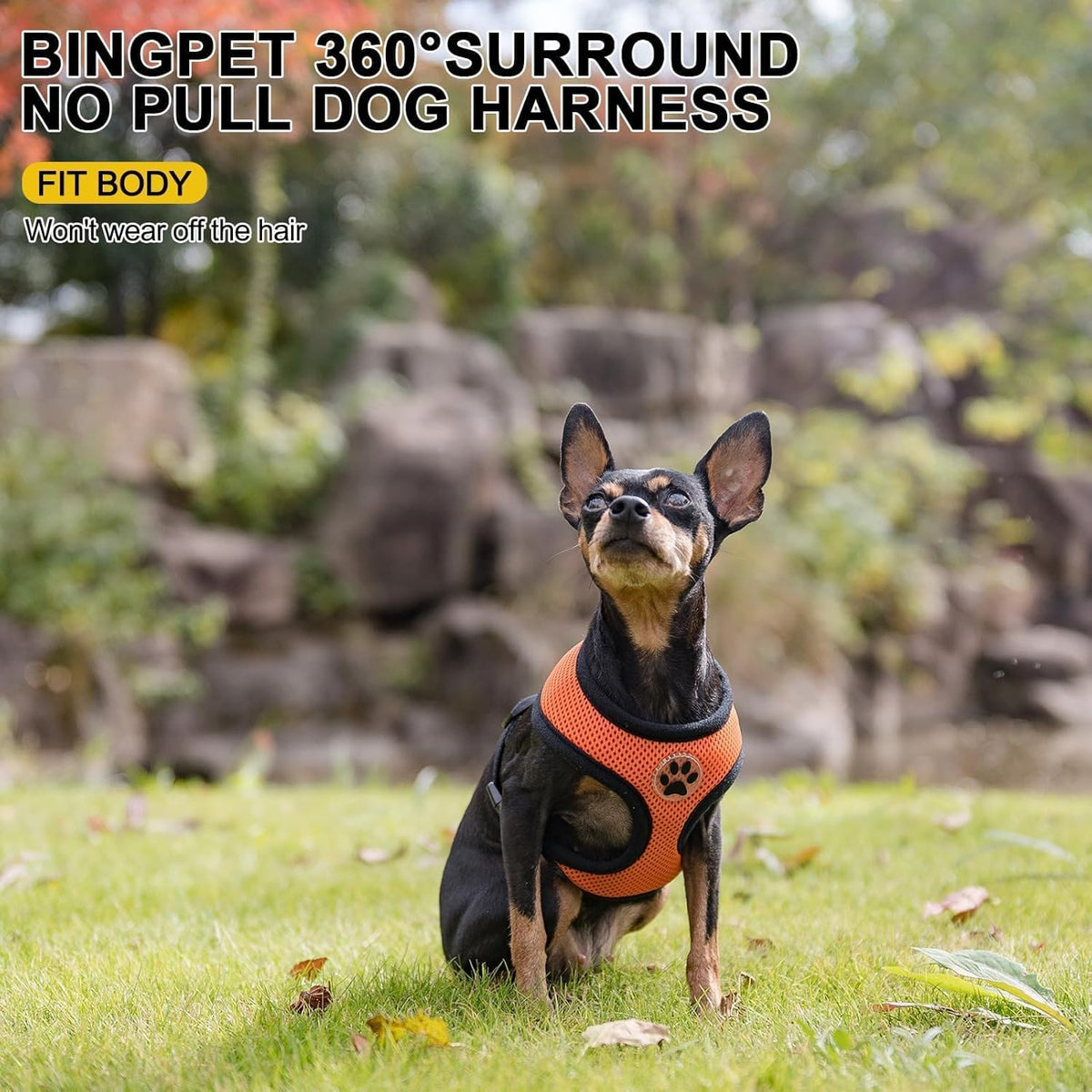 BINGPET No Pull Dog Harness,Soft Mesh Breathable All Weather Vest Harness,Safety Protection Design Durable Adjustable Step-in Easy Walk Dog Harness for Small Medium Large Dogs(Orange,XS)