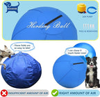 Herding Ball for Dogs - 25" Medium Herding Ball with Anti-Burst Cover and Pump, Outdoor Dog Exercise Toy for Australian Shepherd, German Shepherd, Collie (Blue)