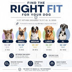 ShawnCo Essential Pro Dog Harness, No-Pull Pet Vest with 3 Leash Clips and Removable, Reflective Side Patches, Adjustable and Padded Harness for Small, Medium and Large Dogs (Orchid, XL)
