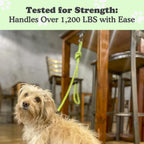 Canine Hitch. Chosen for real quality, not just packaging.
