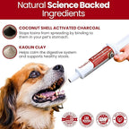 PawMergency – Activated Charcoal First Aid Kit Emergency Rescue 2 Pack for Dogs, Cats, Puppy & Pet Poison Kit, Camping Survival Remedy Essential, Oral Anti Diarrhea Digestive Absorb Toxins