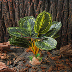IBWell Reptile Plants - Tortoise Habitat Accessories, Artificial Spider Plant for Gecko, Ball Python, Tortoise Terrarium Decor - Calathea Makoyana B