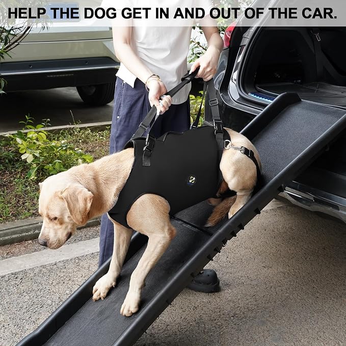 Coodeo Dog Lift Harness, Pet Support & Rehabilitation Sling Lift Adjustable Padded Breathable Straps for Old, Disabled, Joint Injuries, Arthritis, Loss of Stability Dogs Walk (Black, XS)