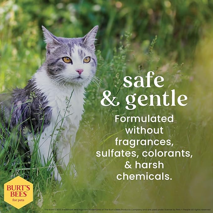 Burt's Bees for Pets Cat Dander Remover Wipes, Unscented Soft Grooming Cloths with Colloidal Oat Flour + Aloe, Helps Reduce Flaking Between Baths for Cats & Kittens, 50 Count