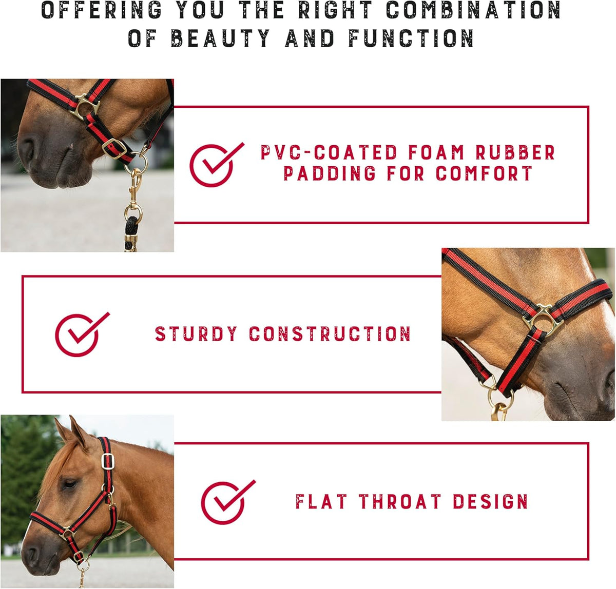 Weaver Leather Nylon Horse Halter, Padded and Adjustable, Chin and Throat Snap Hook Halters for Horses, Brass Plated Halters for Training