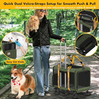 PAWZIDEA Expandable Large Pet Carrier with Wheels, 24x16x16 in Rolling Cat Carrier for 2–4 Cats up 55lb, Soft-Sided Collapsible Small Medium Dog Crate for Car Travel, Telescopic Handle, Storage Pocket