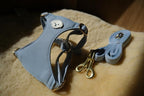 AetruffyPet 100% Cotton Dog Harness and Leash Set – Soft Breathable Vest for Small Dogs, Adjustable No-Choke Design, Lightweight Walking Set (XS/S/M) (Blue, M)