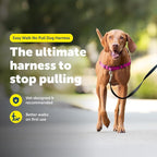PetSafe Easy Walk Harness, No Pull Dog Harness, Medium, Raspberry | Patented Martingale Loop Gives Gradual Shoulder Pressure to Stop Pulling, Front-Chest Leash Clip Prevents Gagging
