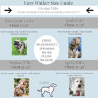 Lucky Love Dog No Pull Dog Harness, Adjustable and Easy to Walk, Cute Patterned Harness for Large Male & Female Dogs - Laguna, Large