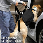 Adjustable Dog Lift Harness, Dog Carry Sling Provides Rear Leg Support for Senior Dogs, Arthritis and After ACL Surgery Dogs,Suitable for Medium to Large Dogs,Black XXL