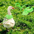 KAMA BRIDAL Duck Walking Harness and Leash Chicken Duck Outdoor Training Rope Adjustable Rope for Pet Poultry Hen Cock (XS, Green)