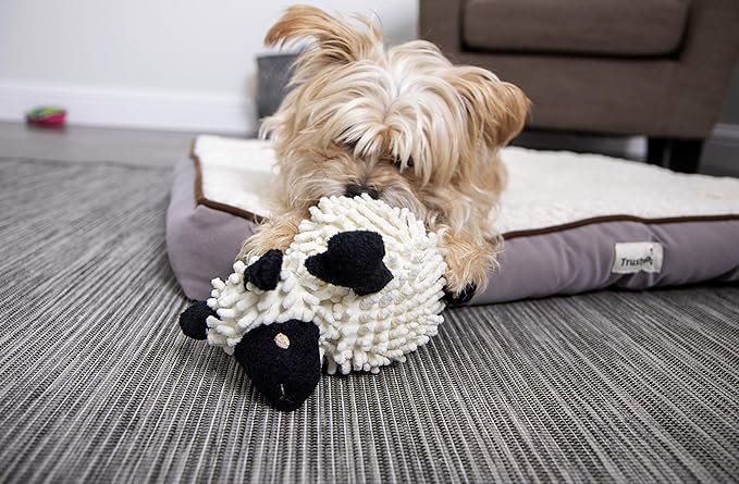 goDog Fuzzy Wuzzy Lamb Squeaky Plush Dog Toy, Chew Guard Technology - Assorted, Small