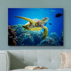 wall26 Canvas Print Wall Art Vibrant Ocean Underwater Swimming Turtle Nature Animals Photography Realism Rustic Scenic Landscape Wilderness Earth Colorful for Living Room, Bedroom, Office - 24"x36"