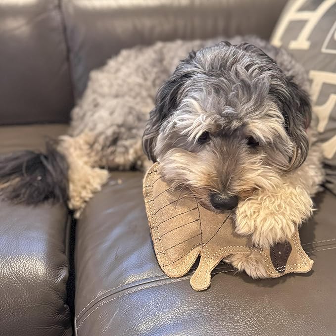 SPOT Dura-Fused Leather Raccoon Dog Toy – Real Leather & Jute Fabric, Double-Stitched & Durable, Squeaky Interactive Chew Toy for Moderate Chewers, Small & Medium Dogs, Soft Stuffed Fetch Toy, 7.25in