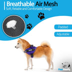 PawPawify Custom No Pull Dog Harness with Name and Phone Number, Heavy Duty Personalized Pet Vest to Prevent Tugging, Pulling, or Choking, Training and Walking (New Purple, XS (5-9LBS))