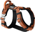 MADE TO ROAM Premium Explorer Harness - Y-Shaped Dog Harness with Adjustable Durable Nylon, Soft Padding, Metal Buckles and Leather Handle for Small, Medium, Large Dogs (Nevada Evening, Size 1)