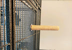 Polly's Pastels Nail Trimming & Beak Conditioning Safety Perch for Cockatiels, Cockatoos, Macaws, Parakeets, Budgies, Parrots and All Other Birds (Coral, Baby Medium-3/4 Dia. x 5" Long)