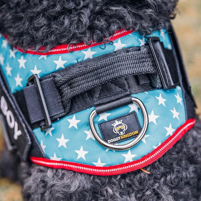 Personalized Dog Harness with Custom Name Patches, Adjustable Reflective No Choke Dog Vest with Handle for XXL Dog, Military Green, 2XL