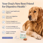 Pawfy Probiotics for Dogs | Supports Digestive Health, Diarrhea for Small and Large Dogs | Improves Gut Health | Anti Yeast Supplements | Promotes Skin Health and Seasonal Allergies Support - 30 Chews