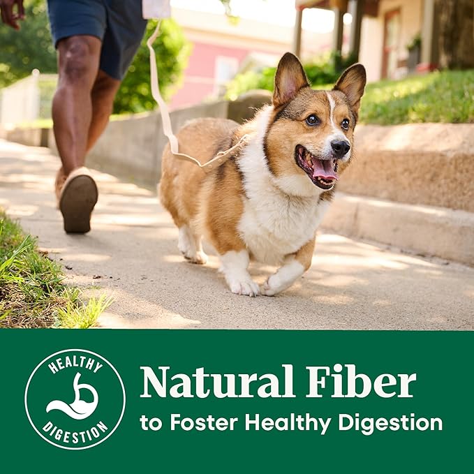 Nutro Natural Choice Beef & Brown Rice Adult Dry Dog Food Recipe, 28 lb. Bag