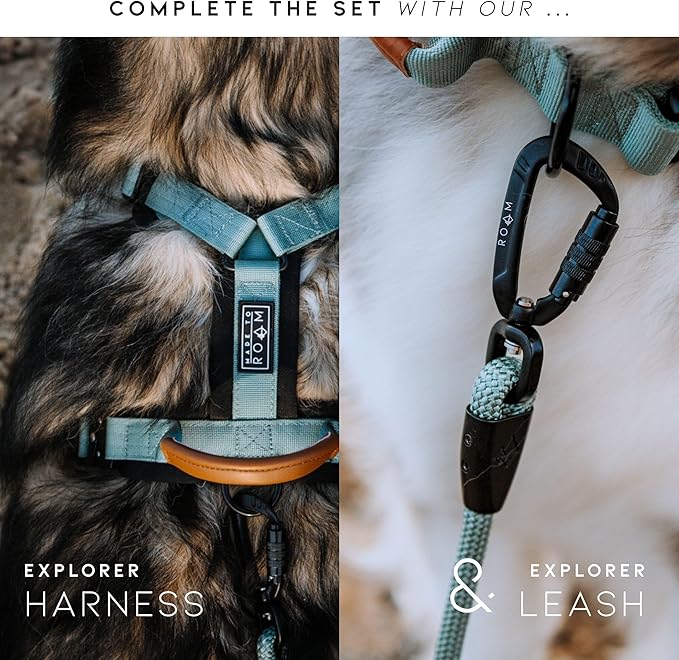 Made to ROAM Premium Explorer Control Collar - Adjustable Heavy Duty Nylon Dog Collar with Quick-Release Metal Buckle and Handle (Washington Rain, Control Size 5)