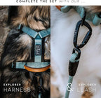Made to ROAM Premium Dog Collar - Adjustable Heavy Duty Nylon Collar with Quick-Release Metal Buckle (Washington Rain, Classic Size 1)