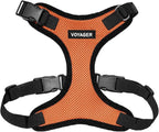 Voyager Step-in Pet Harness - All Weather Mesh, Adjustable Step in Harness for Cats and Dogs by Best Pet Supplies - Orange/Black Trim, M