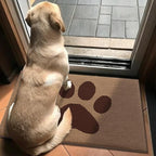 Buganda Dog Door Mat for Muddy Paws, Absorbent Dirt Trapper Non Slip Indoor Doormats, Washable Low-Profile Mat for Mud Dogs, Entryway Carpet for Inside Floor (48x30 Inches, Beige)